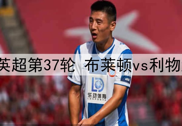 2025年5月20日 英超第37轮 布莱顿vs利物浦 全场录像回放