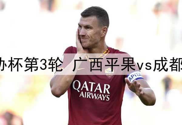 2024年5月21日 足协杯第3轮 广西平果vs成都蓉城 全场录像回放