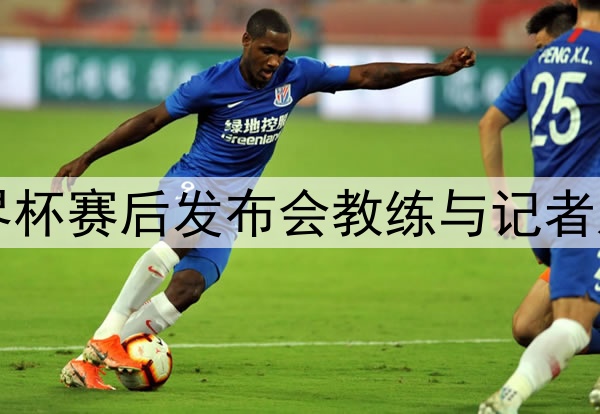 世界杯赛后发布会教练与记者对骂