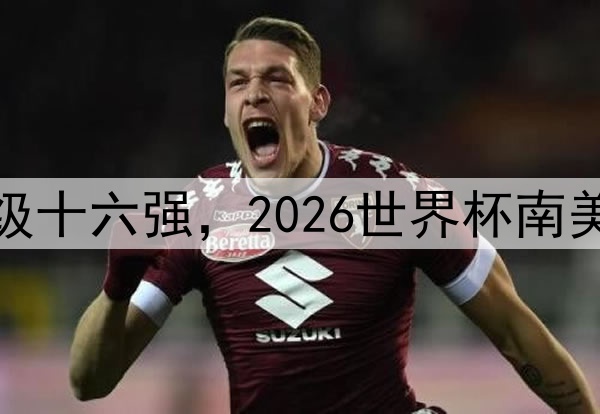 厄瓜多尔队晋级十六强，2026世界杯南美黑马突破历史