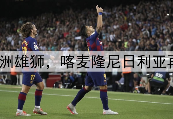 世界杯非洲雄狮，喀麦隆尼日利亚再创佳绩？